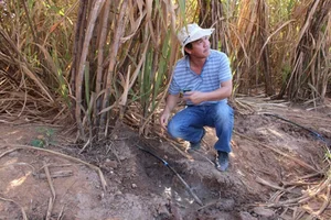 Surprisingly Simple Daily Lives of Vietnam's Most Successful Tycoons - image 5