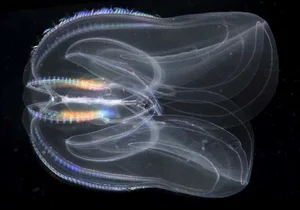 Scientific Discovery: Uncovering the First Animal to Ever Inhabit Earth - image 1