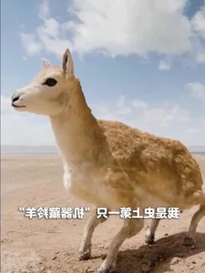 World's First Spy Robot Wildebeest Successfully Infiltrates Herd - image 5