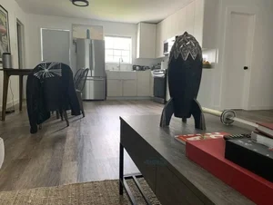 Inside Elon Musk’s $50,000 Prefabricated Tiny Home - image 0