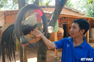From Engineer to Multi-Millionaire: Success Story of Bird and Bee Farming - image 2