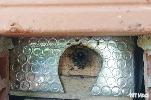 From Engineer to Multi-Millionaire: Success Story of Bird and Bee Farming - image 0