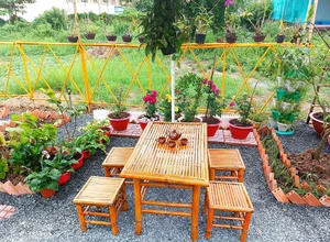 Office Worker Transforms Wetland into a Stunning Dream Garden and Pond - image 9
