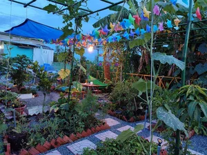 Office Worker Transforms Wetland into a Stunning Dream Garden and Pond - image 5