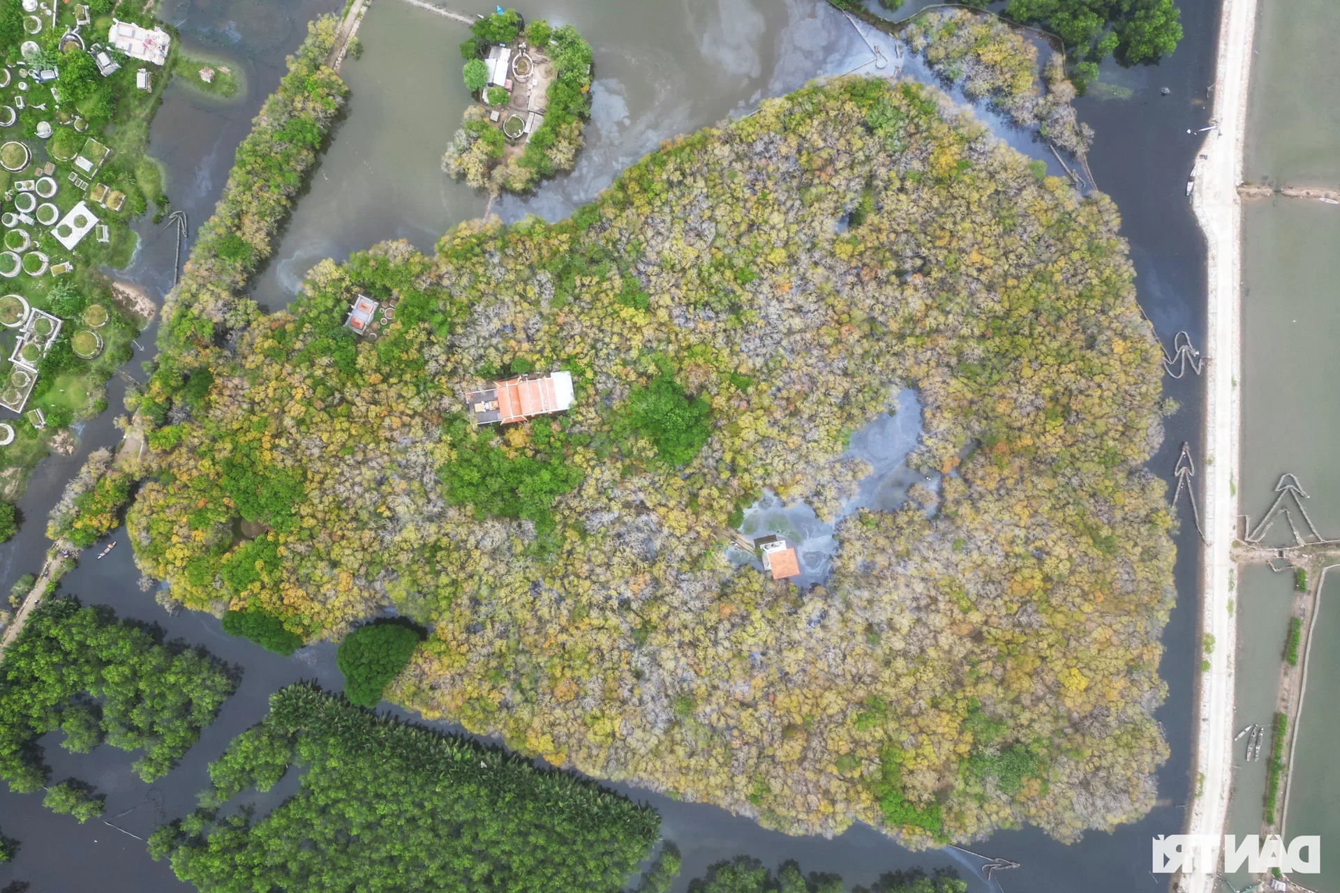 Discover the Mysterious Beauty of Ru Cha Submerged Forest in Hue