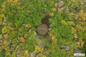 Discover the Mysterious Beauty of Ru Cha Submerged Forest in Hue - image 2