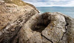 Decoding the 145-Million-Year-Old Fossil Forest and Its Chilling Secrets - image 1