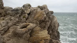 Decoding the 145-Million-Year-Old Fossil Forest and Its Chilling Secrets - image 2