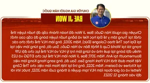 Korean Expert Warns Vietnam Football: Avoid Indonesia’s Naturalized Player Strategy - image 6