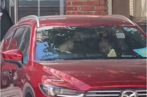 Vietnam Women’s Football Star Spotted in Sweet Moment with Boyfriend - image 5