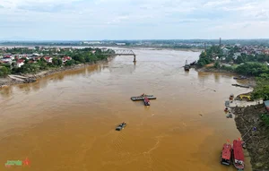 Urgent Preparations for Phong Chau Pontoon Bridge Installation Underway - image 1