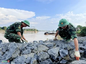 Urgent Preparations for Phong Chau Pontoon Bridge Installation Underway - image 0
