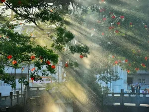 Impressive Desktop Wallpapers and PC Backgrounds - image 13