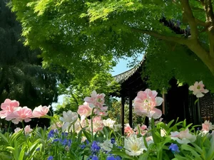 Impressive Desktop Wallpapers and PC Backgrounds - image 12