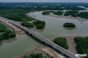 The Billion-VND Road: Connecting Dong Nai's Largest Port Through Mangrove Forests - image 5