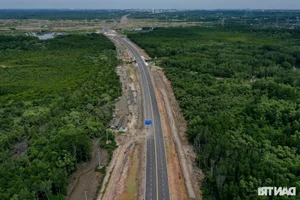 The Billion-VND Road: Connecting Dong Nai's Largest Port Through Mangrove Forests - image 6