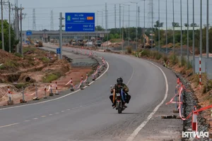 The Billion-VND Road: Connecting Dong Nai's Largest Port Through Mangrove Forests - image 2