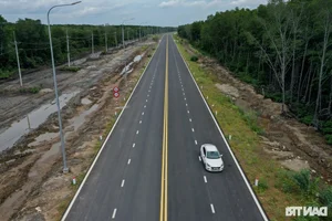 The Billion-VND Road: Connecting Dong Nai's Largest Port Through Mangrove Forests - image 0