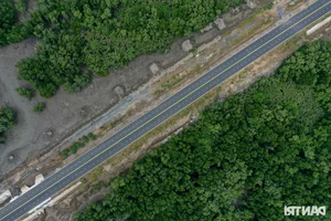 The Billion-VND Road: Connecting Dong Nai's Largest Port Through Mangrove Forests - image 12