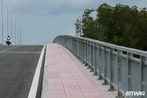 The Billion-VND Road: Connecting Dong Nai's Largest Port Through Mangrove Forests - image 10