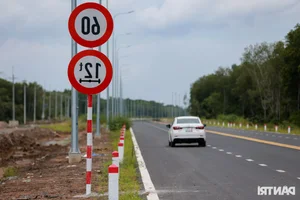 The Billion-VND Road: Connecting Dong Nai's Largest Port Through Mangrove Forests - image 3