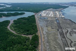 The Billion-VND Road: Connecting Dong Nai's Largest Port Through Mangrove Forests - image 9
