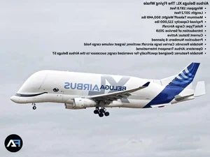 Exploring the World’s Top 5 Largest Aircraft Currently in Operation - image 6