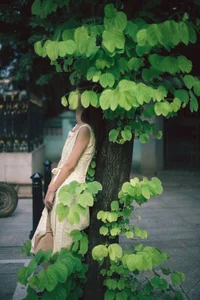 Exploring Artistic Elegance with YiTuYu Art Language Vol.5211 Featuring Model Dong Zhi - image 3