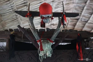 Exploring the Dayak Tribe: The Former Headhunters of Borneo Island - image 8