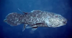 Extraordinary Animal Superpowers: Nature’s Incredible Abilities That Amaze Humans - image 2