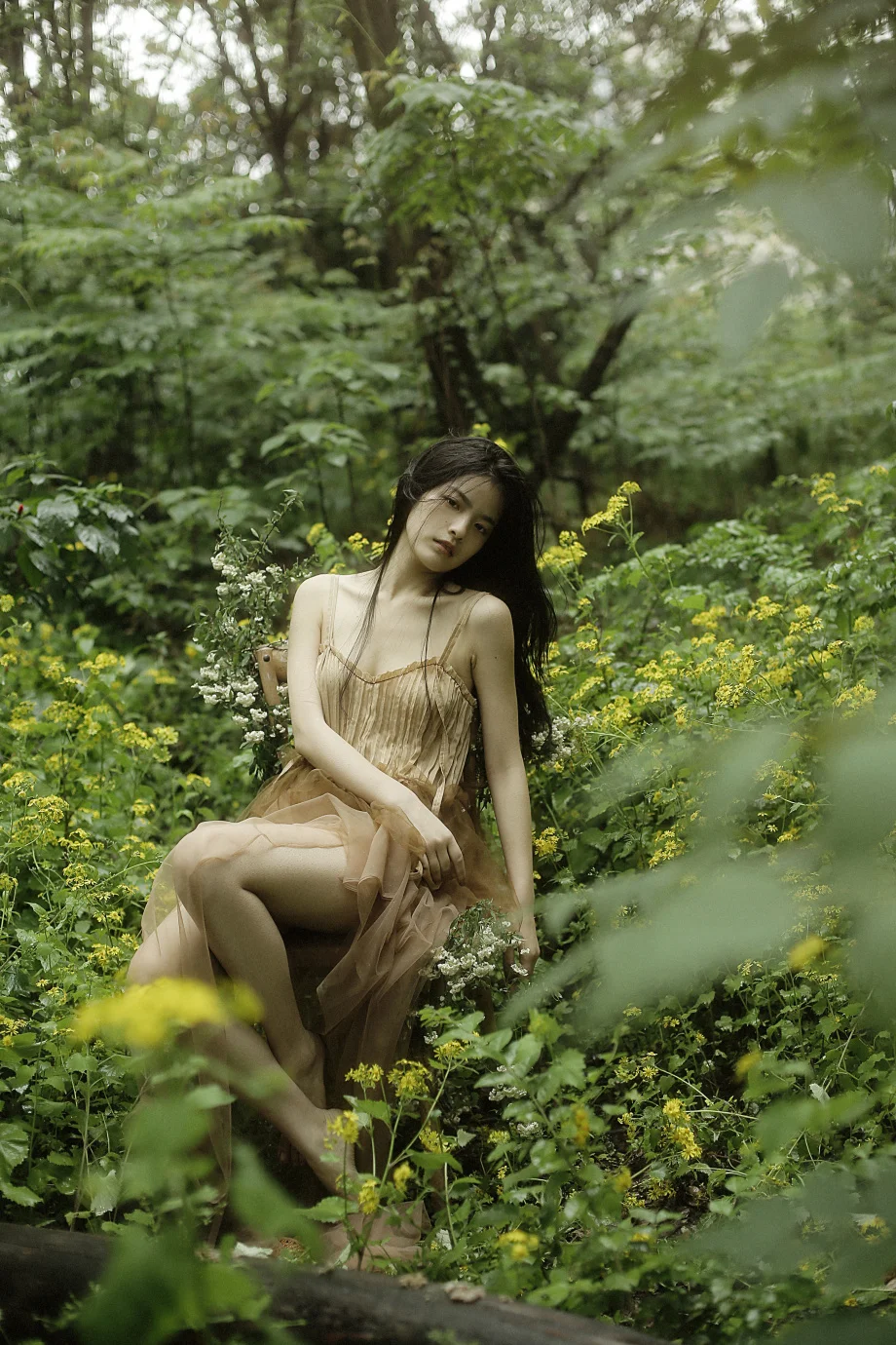Capturing the Timeless Beauty of China Through Exquisite Photography