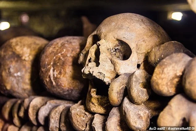 Exploring the Shadows: The 6 Million Souls of the Paris Catacombs