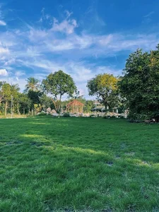 Inside Actress Van Trang's Stunning 50,000-Square-Meter Ecological Garden Home - image 6