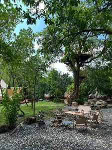 Inside Actress Van Trang's Stunning 50,000-Square-Meter Ecological Garden Home - image 8