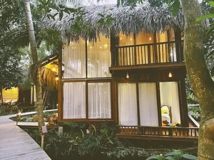 Inside Actress Van Trang's Stunning 50,000-Square-Meter Ecological Garden Home - image 4