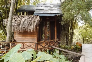 Inside Actress Van Trang's Stunning 50,000-Square-Meter Ecological Garden Home - image 7