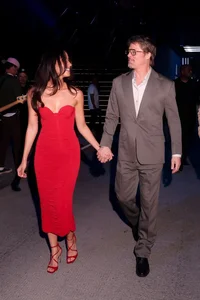 Brad Pitt's Personal Struggles: Family Rift and Finding Peace with Ines de Ramon - image 8