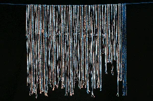 Unlocking Ancient Secrets: The Bizarre Record-Keeping Systems That Baffle Modern Historians - image 4