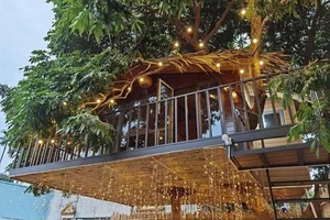 Inside the Unique 130 Million VND Treehouse Tucked Away in Hanoi - image 7