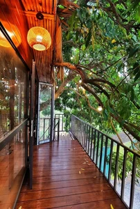 Inside the Unique 130 Million VND Treehouse Tucked Away in Hanoi - image 10