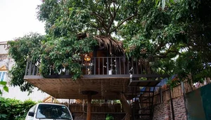 Inside the Unique 130 Million VND Treehouse Tucked Away in Hanoi - image 0