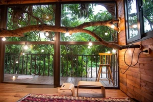 Inside the Unique 130 Million VND Treehouse Tucked Away in Hanoi - image 5