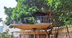 Inside the Unique 130 Million VND Treehouse Tucked Away in Hanoi - image 12