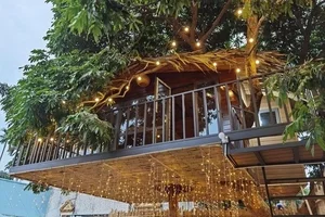 Inside the Unique 130 Million VND Treehouse Tucked Away in Hanoi - image 6