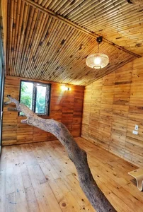 Inside the Unique 130 Million VND Treehouse Tucked Away in Hanoi - image 8