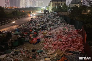 Environmental Concerns as Confectionery Waste Piles Up in La Phu Village - image 11
