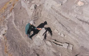 Archaeological Discovery: 6,000-Year-Old Temple and Ancient Rituals - image 6