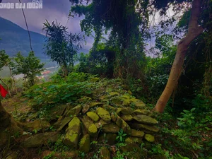 Unveiling the 200-Year-Old Mystery of the Ancient Thien Ly Road in Quang Binh - image 9
