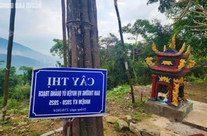 Unveiling the 200-Year-Old Mystery of the Ancient Thien Ly Road in Quang Binh - image 3