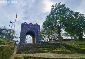 Unveiling the 200-Year-Old Mystery of the Ancient Thien Ly Road in Quang Binh - image 6